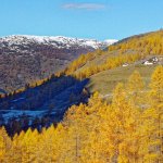 La flambée des melezes intorno a Troncea